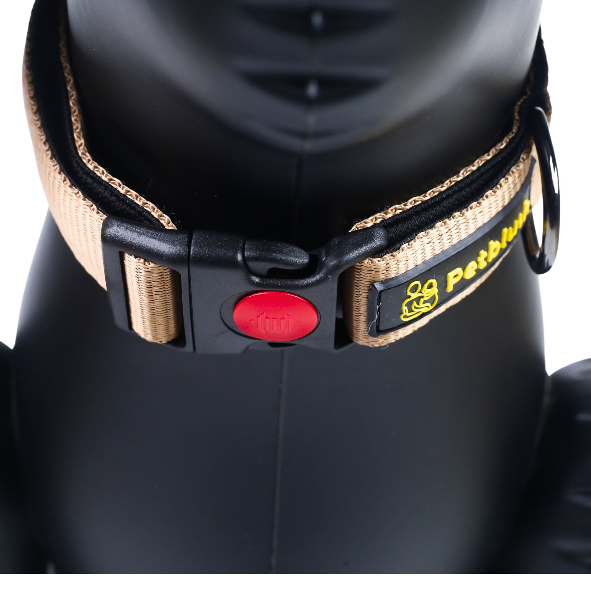Petblush Bold Padded Collars with Lock Buckle