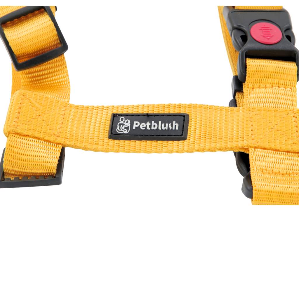 Petblush H Harness with Lock Buckle For Dogs