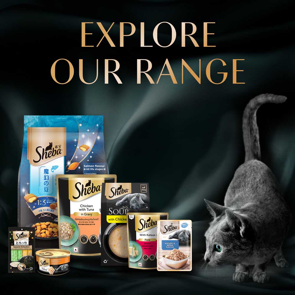 Sheba Chicken Loaf Rich Premium Kitten (2 to 12 Months) Fine Cat Wet Food