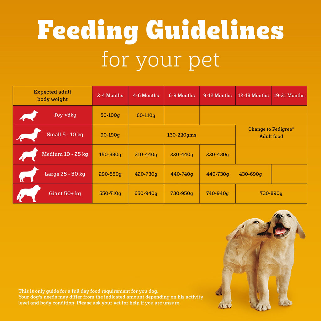 Pedigree Chicken and Milk Puppy Dog Dry Food