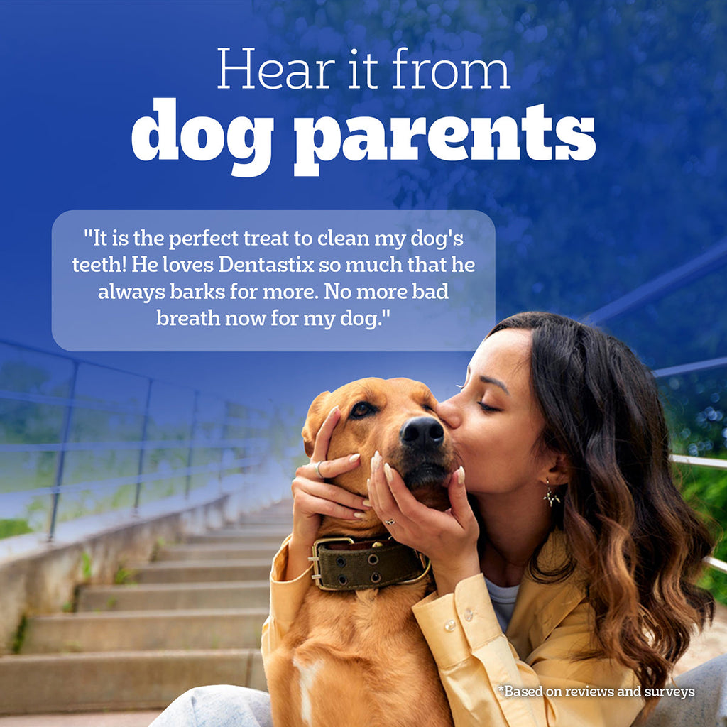 Pedigree Dentastix Oral Care for Adult (Medium Breed of 10 to 25 kg) Dog Treats