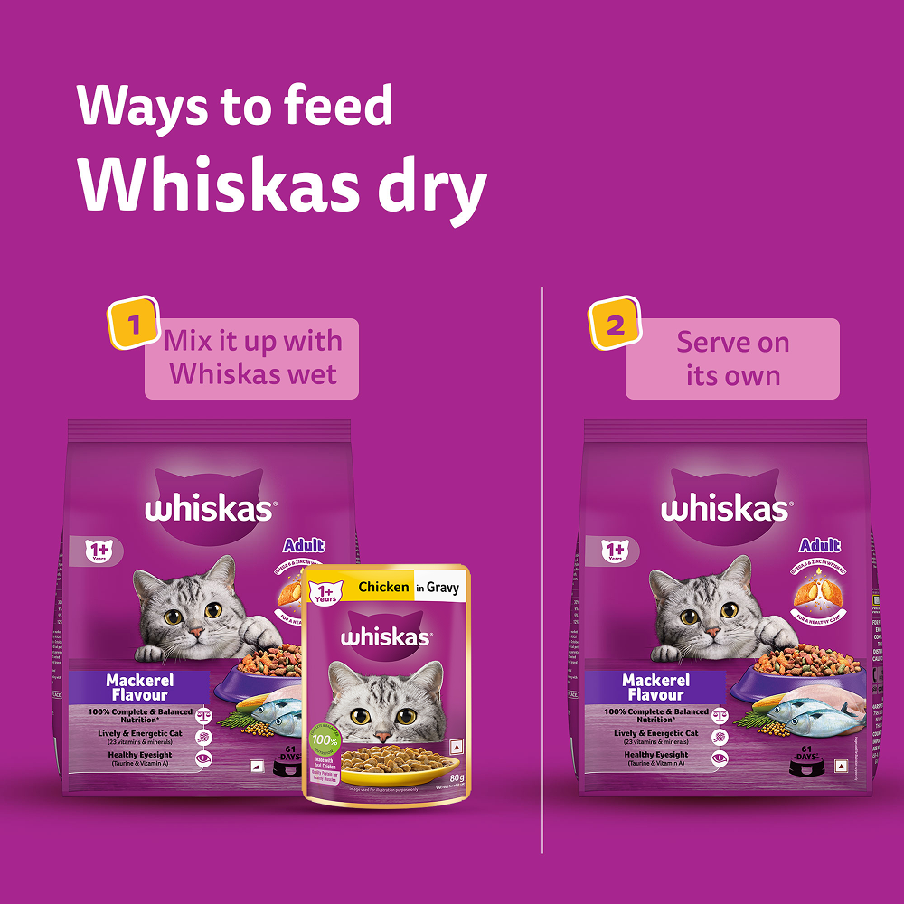 Whiskas Mackerel Flavour Dry Food for Mother and Baby Cat