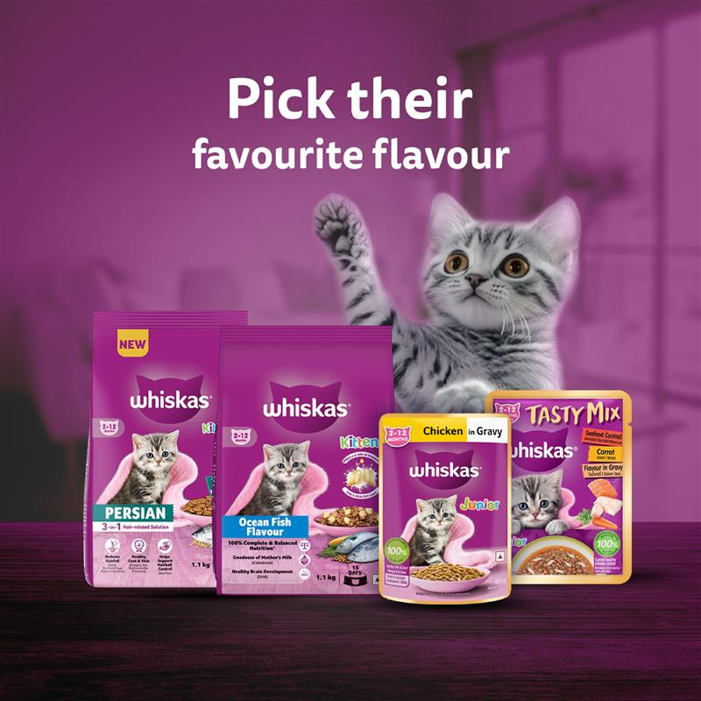Whiskas Ocean Fish Kitten/Mother and Baby Cat Dry Food