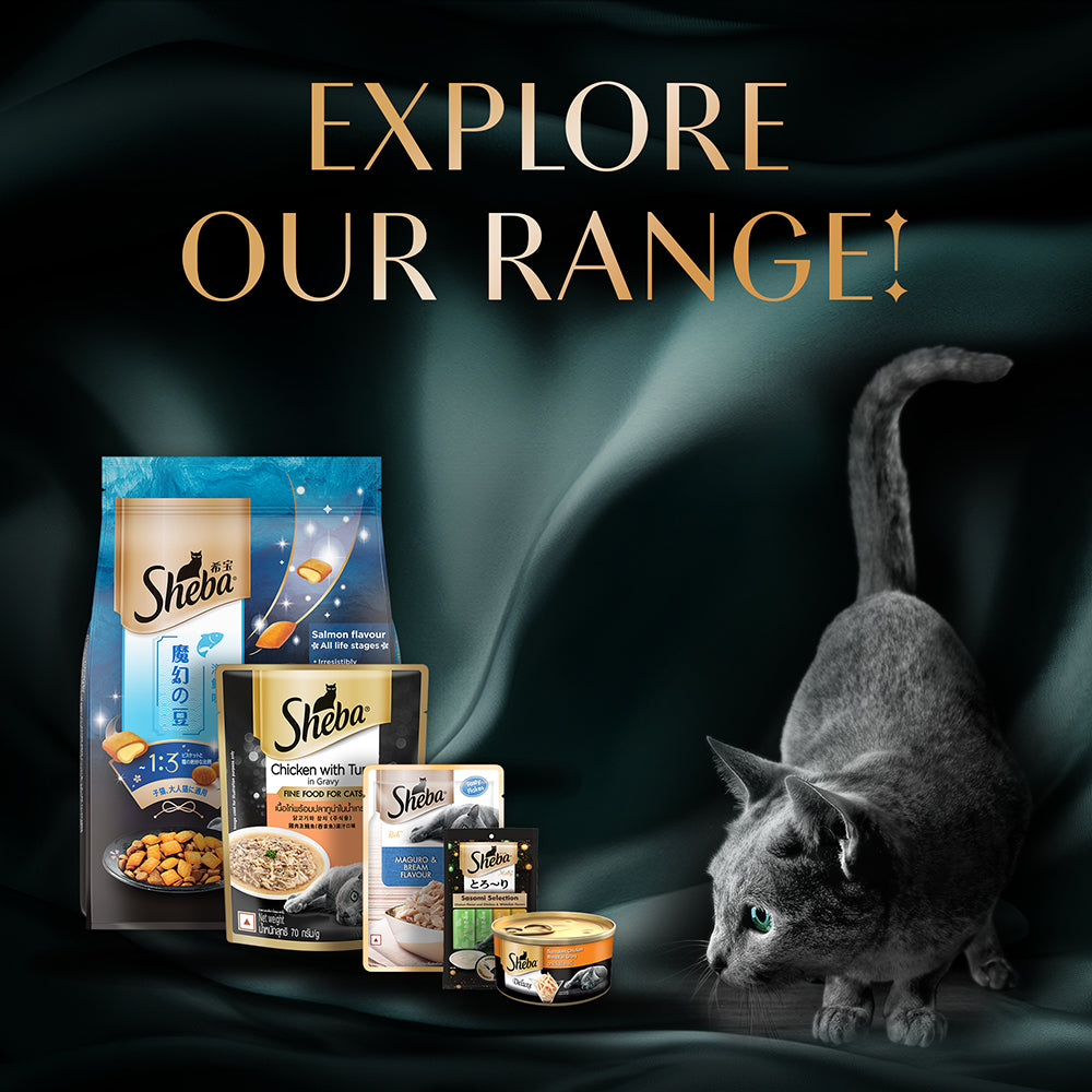 Sheba Tuna Fillet & Whole Prawns in Gravy Premium Cat Wet Food