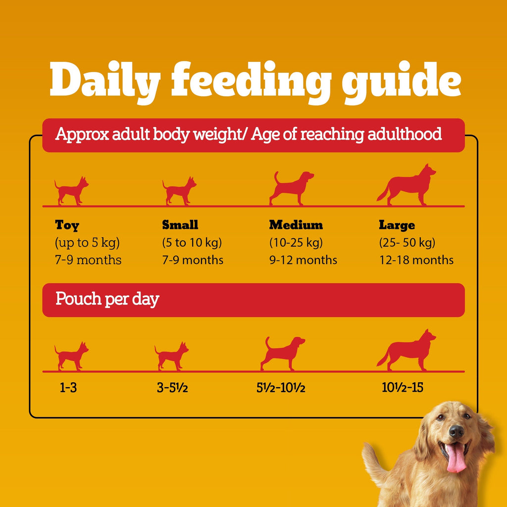 Pedigree Chicken and Liver Chunks in Gravy Adult Dog Wet Food (130g)