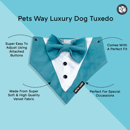 Royal Blue Luxury Velvet Tuxedo
