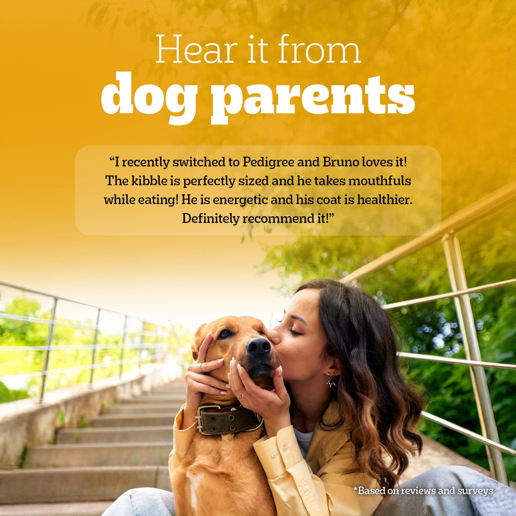 Pedigree Meat & Rice Adult Dog Dry Food