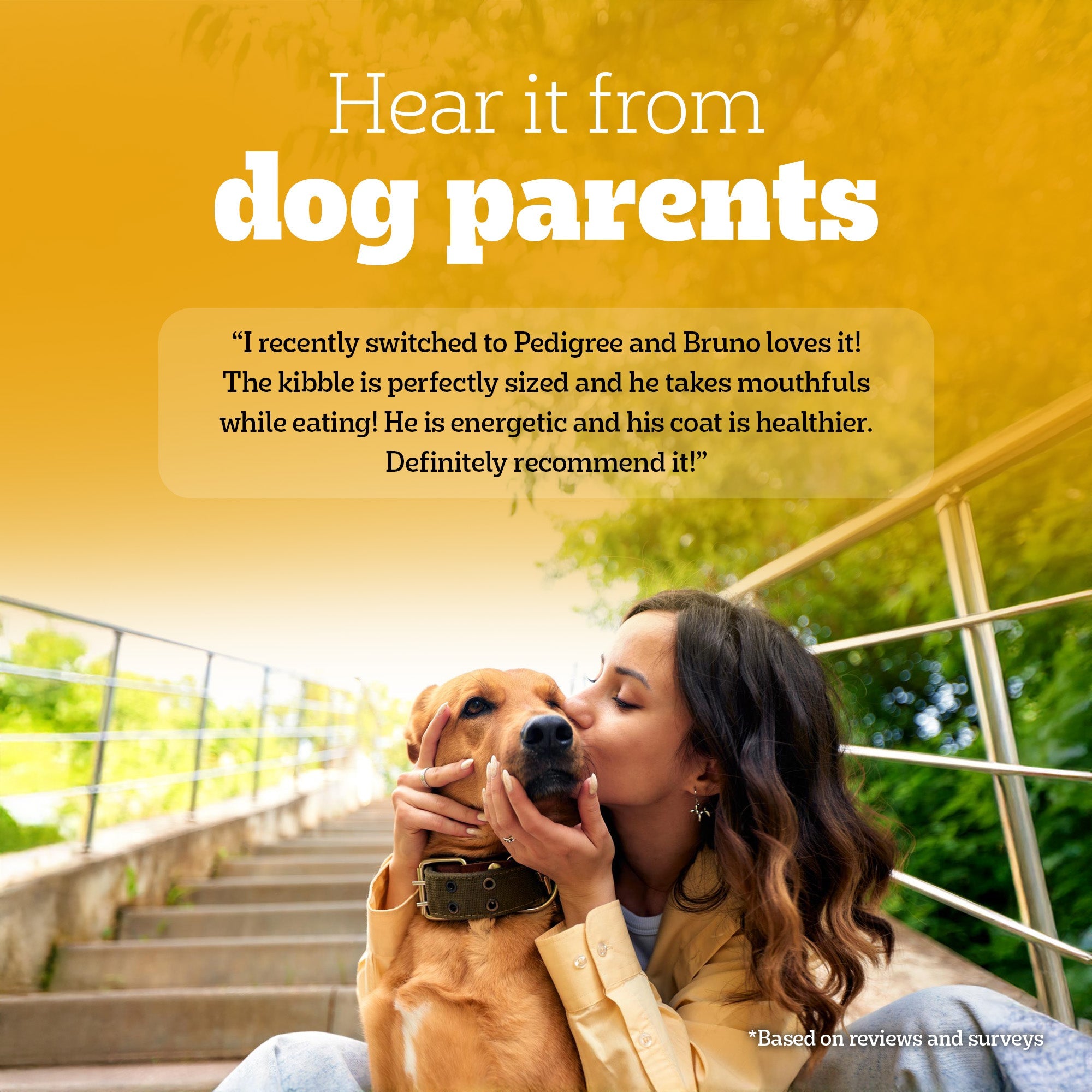 Pedigree Meat & Rice Adult Dog Dry Food