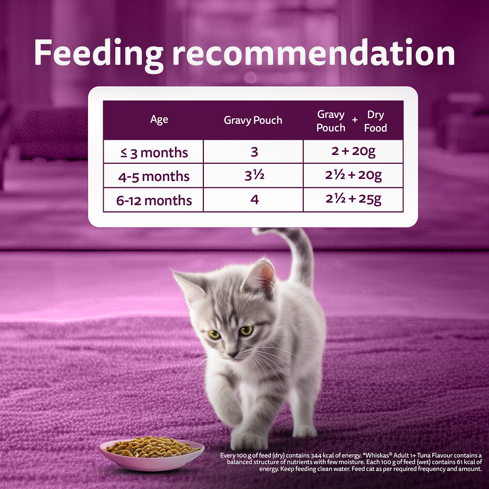 Whiskas Chicken in Gravy Meal Kitten Cat Wet Food