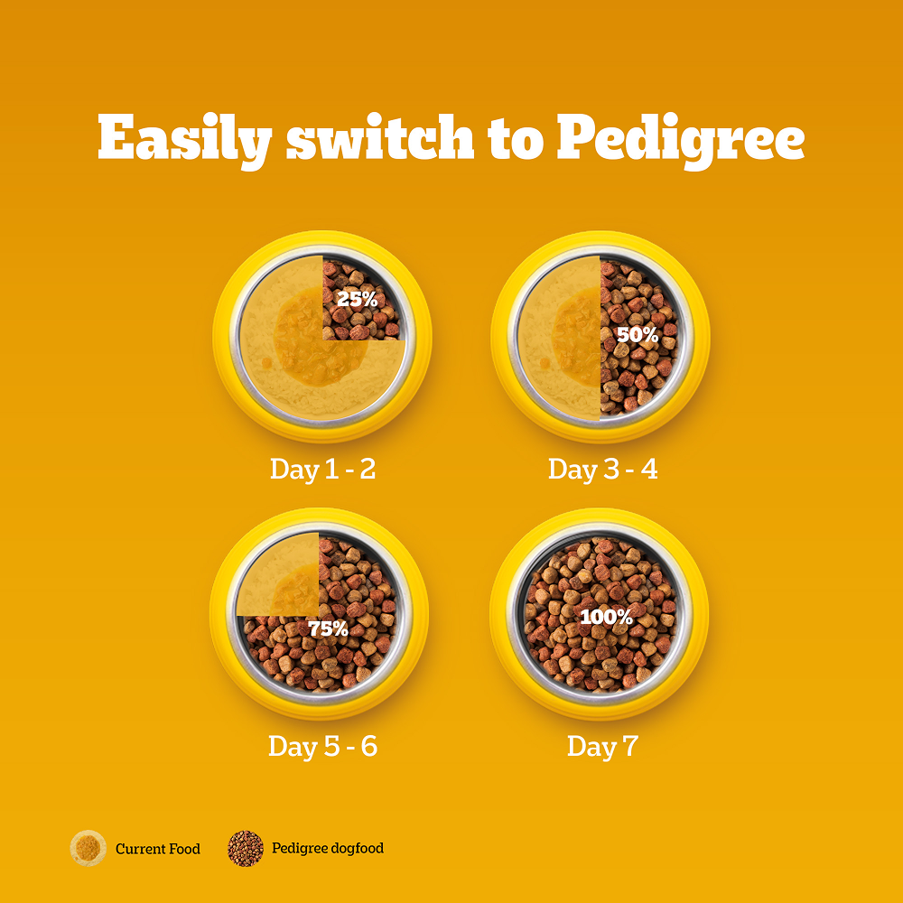 Pedigree Chicken and Vegetables Adult Dog Dry Food