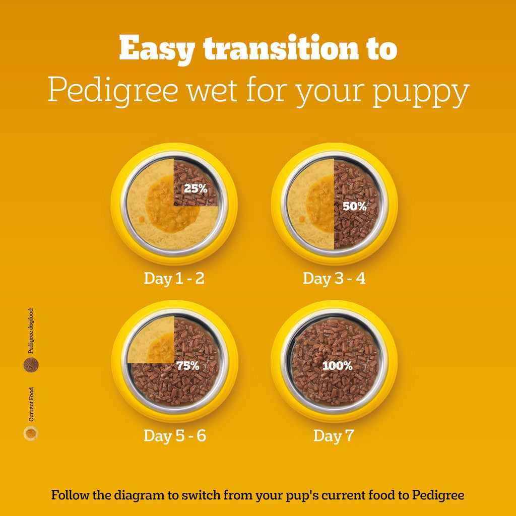 Pedigree Chicken and Liver Chunks in Gravy Pouch Puppy Dog Wet Food (130g)