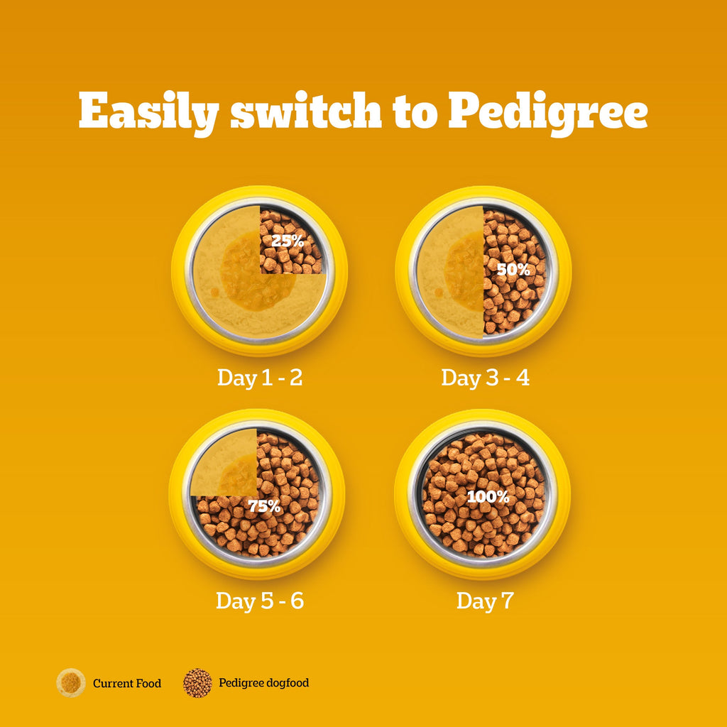 Pedigree Meat & Rice Adult Dog Dry Food