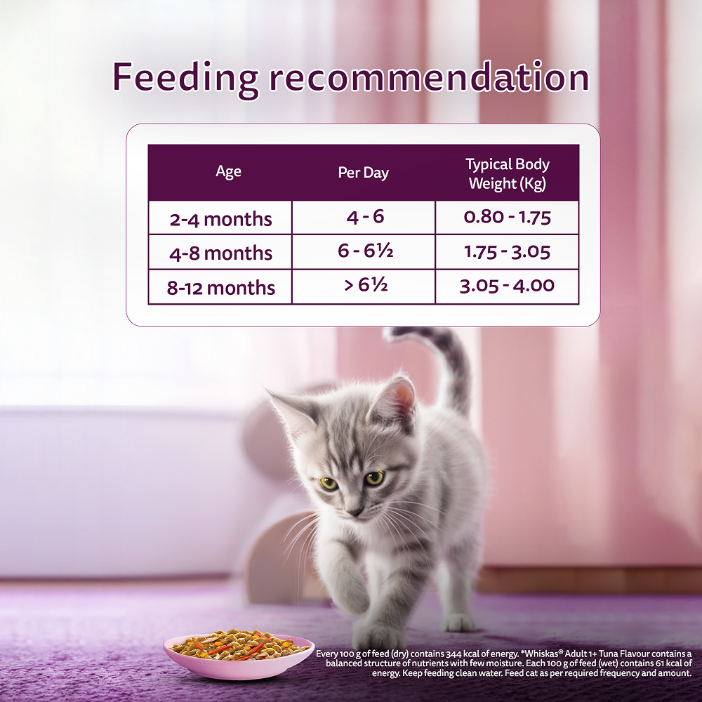 Whiskas Tasty Mix Seafood Cocktail Carrot Gravy Kitten Cat Wet Food