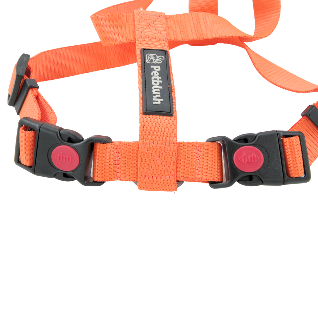 Petblush H Harness with Lock Buckle For Dogs