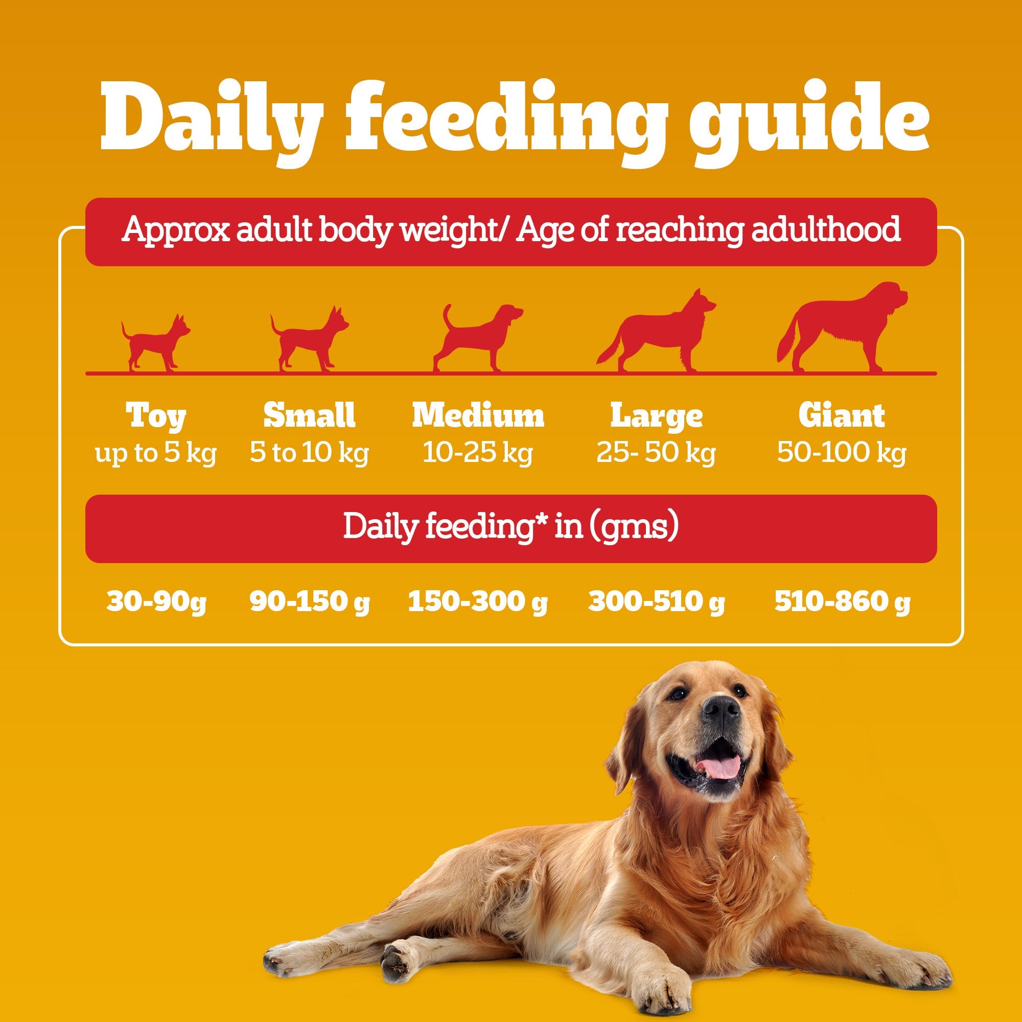 Pedigree Meat & Rice Adult Dog Dry Food