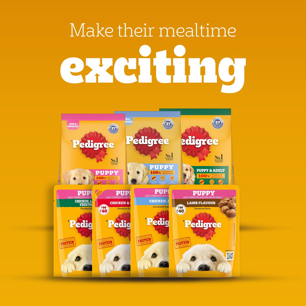 Pedigree Chicken and Liver Chunks in Gravy Pouch Puppy Dog Wet Food (130g)