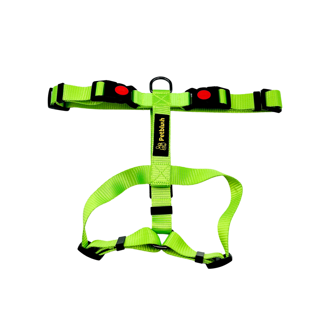 Petblush H Harness with Lock Buckle For Dogs