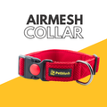 Petblush Airmesh Collar with Lock Buckle