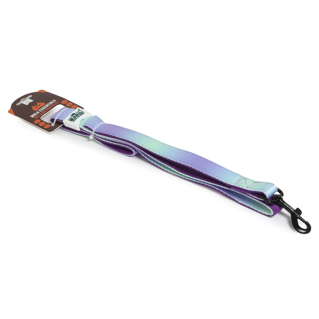Padded Leash for Dogs, Cats & Puppies (Purple & Blue)