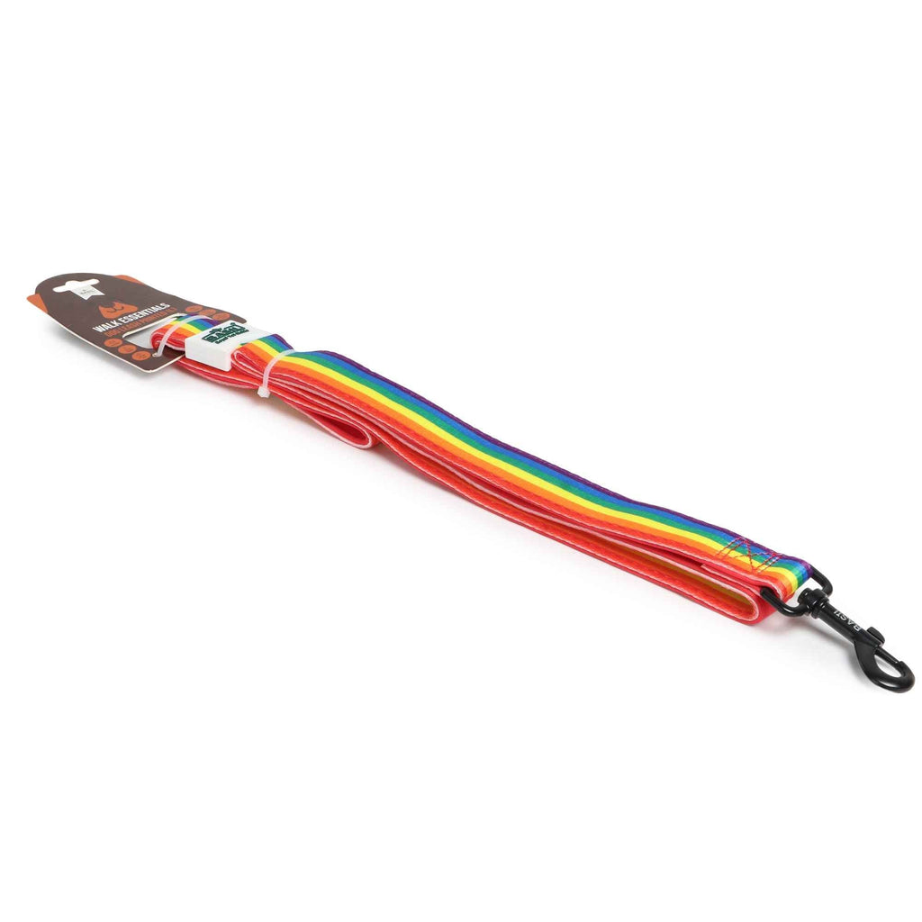 Padded Leash for Dogs, Cats & Puppies (Rainbow)