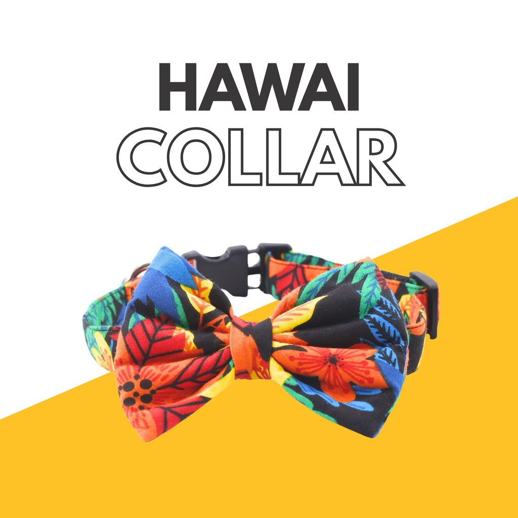 Petblush Hawai Print Bow Collars For Dogs