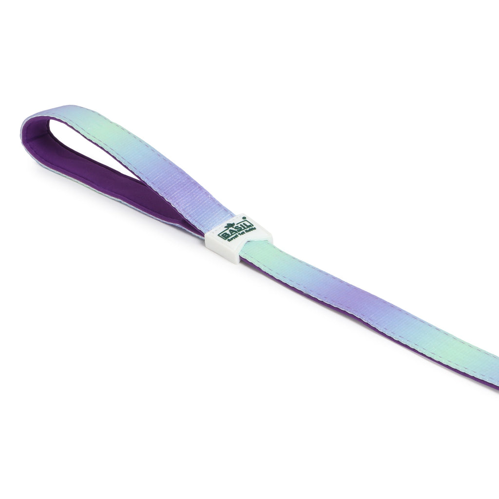 Padded Leash for Dogs, Cats & Puppies (Purple & Blue)