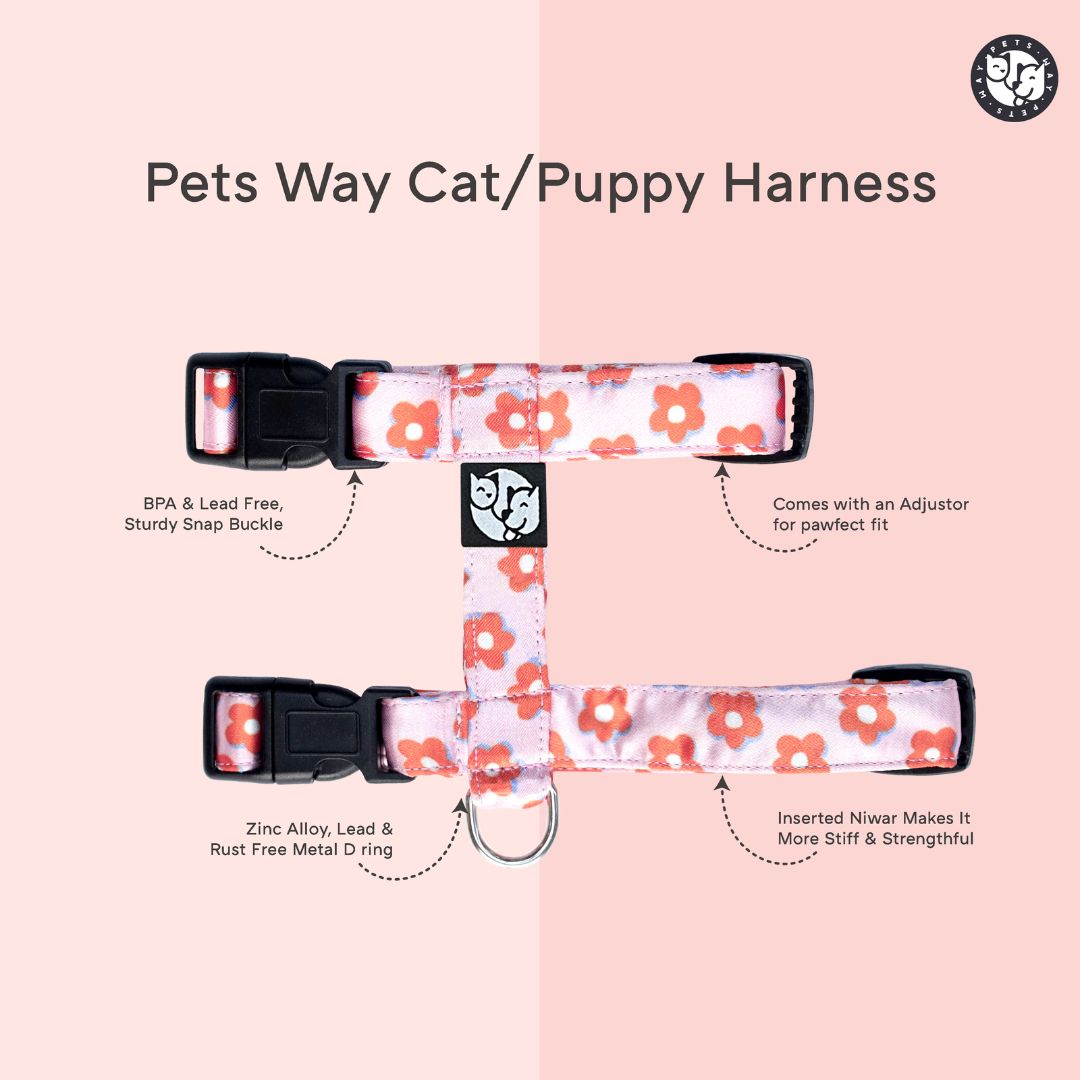 Love Puppy & Cat Collar Leash Harness Set