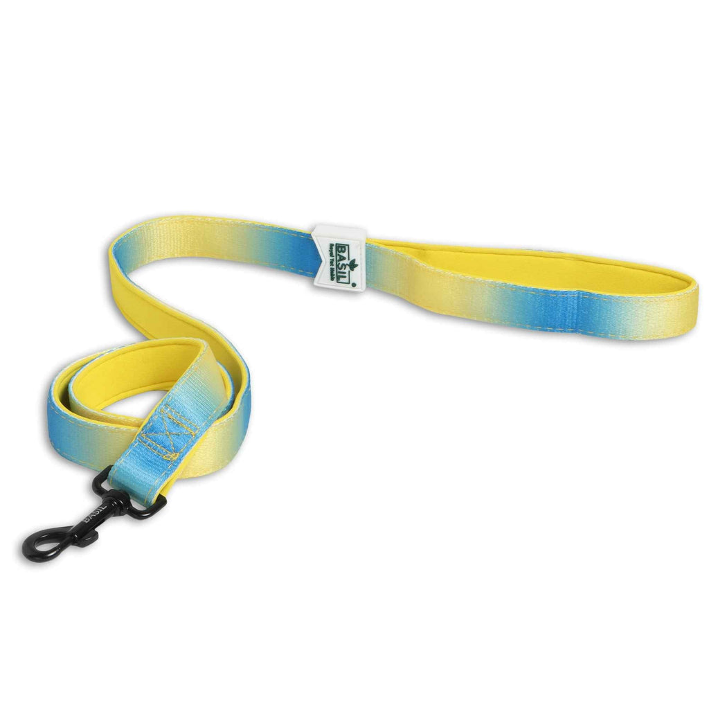 Padded Leash for Dogs, Cats & Puppies (Blue & Yellow)