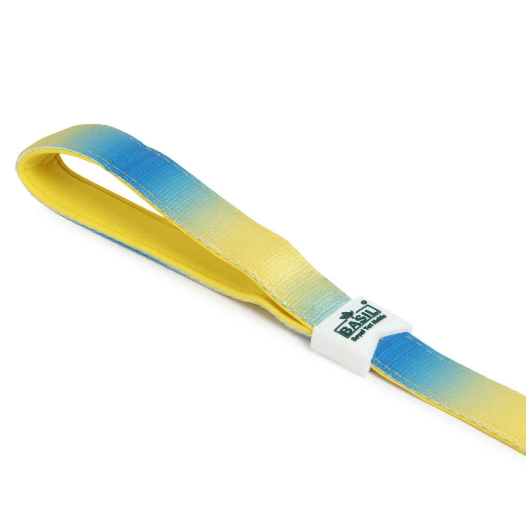Padded Leash for Dogs, Cats & Puppies (Blue & Yellow)
