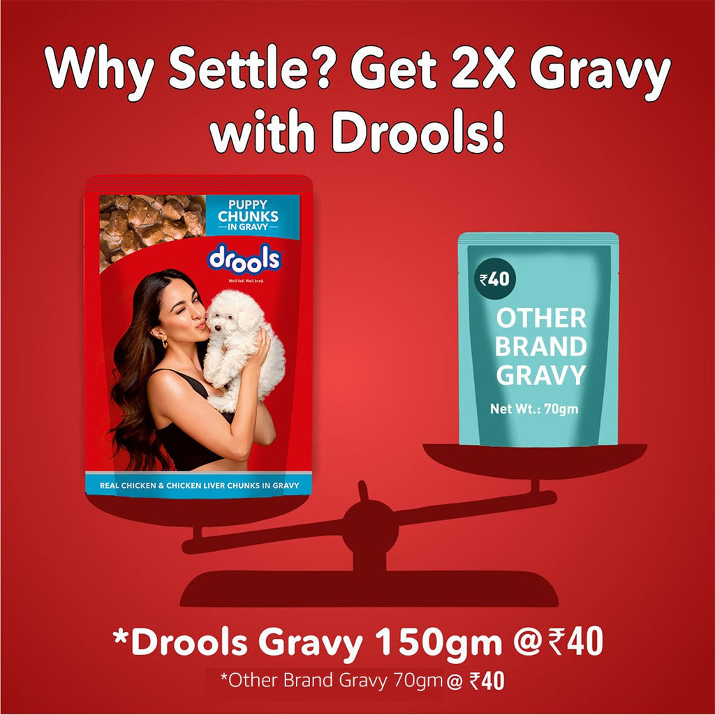 Drools Real Chicken & Chicken Liver Chunks in Gravy Puppy Dog Wet Food