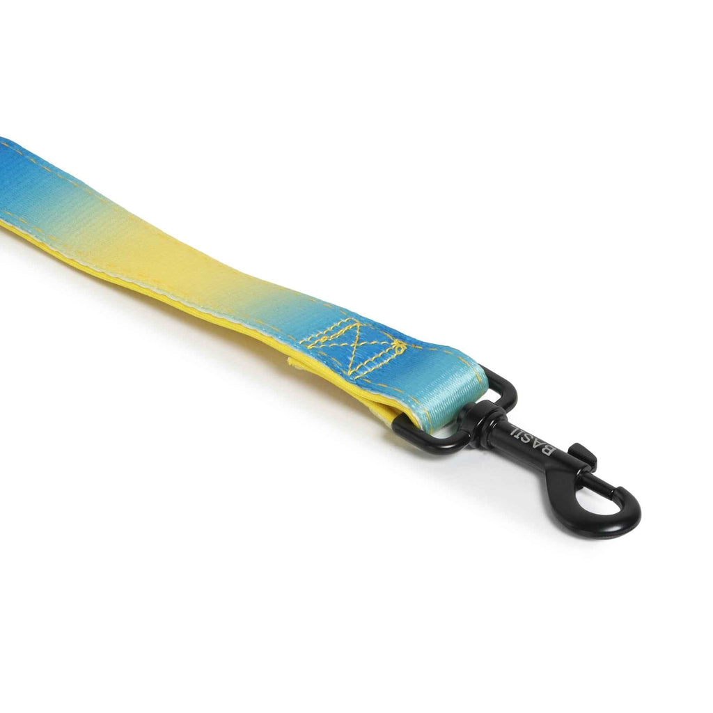 Padded Leash for Dogs, Cats & Puppies (Blue & Yellow)