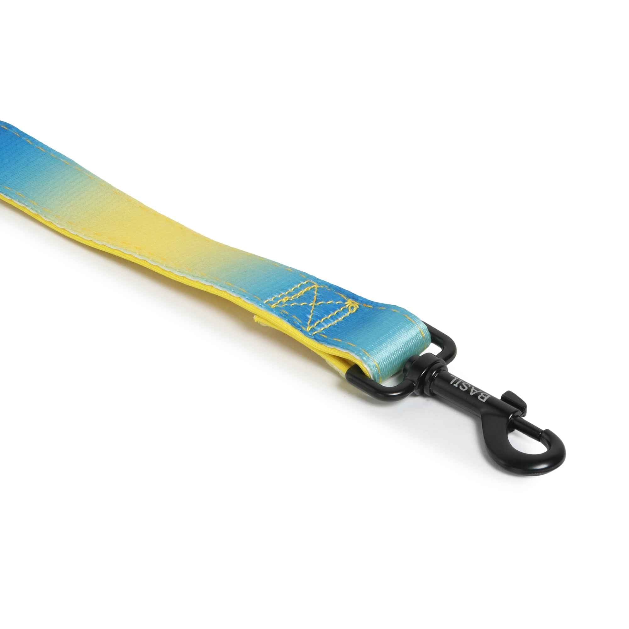 Padded Leash for Dogs, Cats & Puppies (Blue & Yellow)