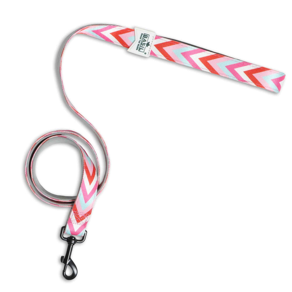 Padded Leash for Dogs, Cats & Puppies (Zig-Zag Red)