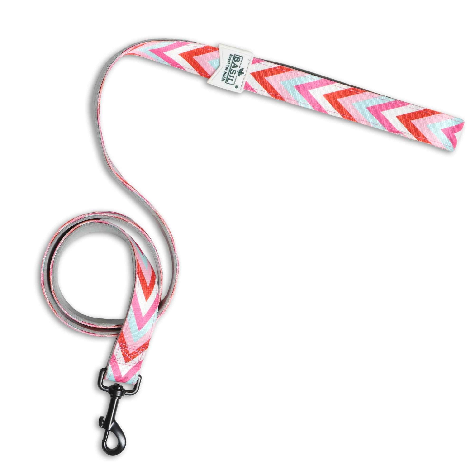 Padded Leash for Dogs, Cats & Puppies (Zig-Zag Red)