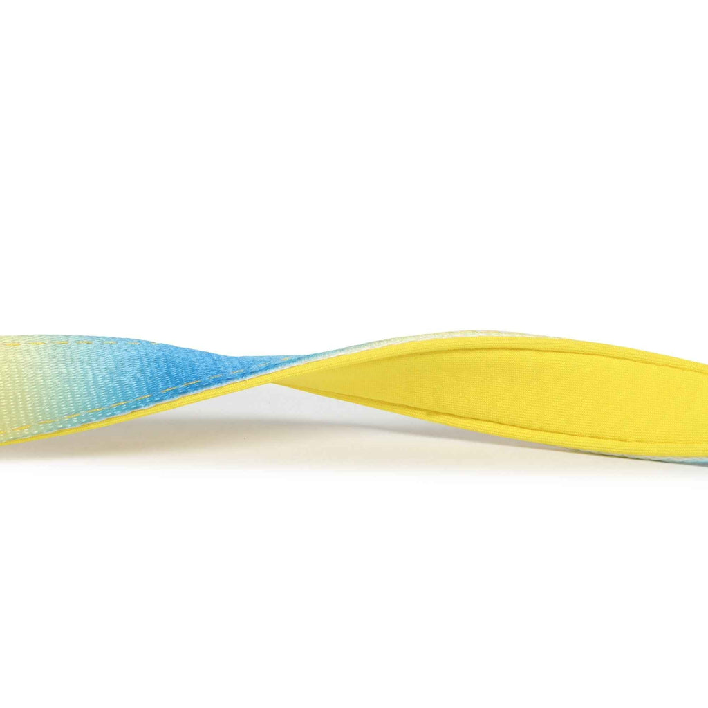 Padded Leash for Dogs, Cats & Puppies (Blue & Yellow)