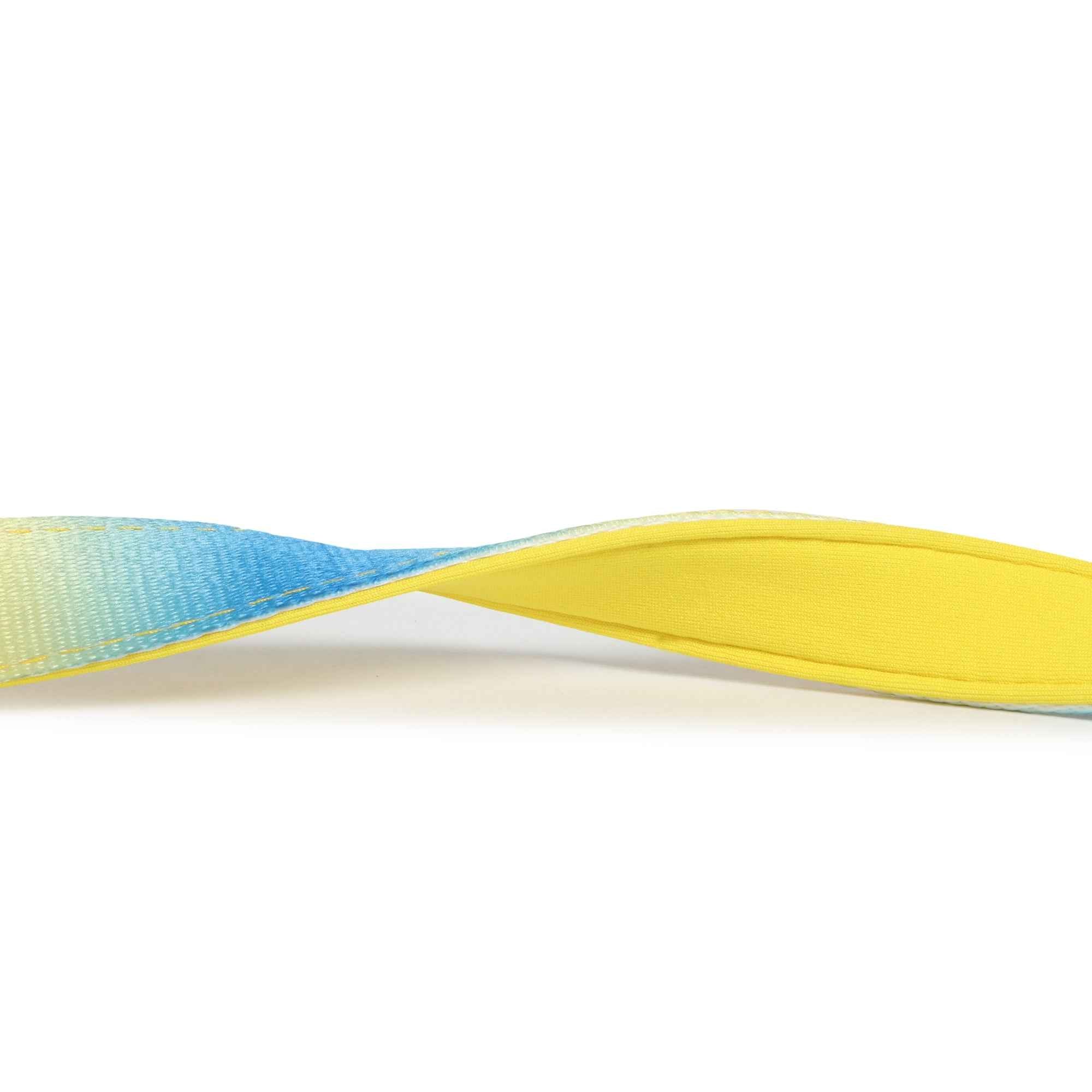 Padded Leash for Dogs, Cats & Puppies (Blue & Yellow)
