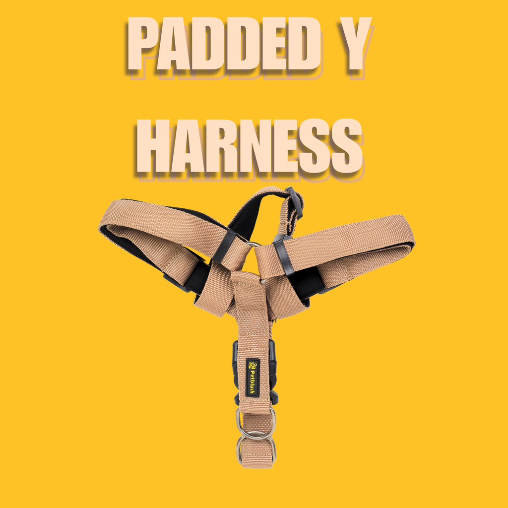 Petblush Padded Y Harness With Lock Buckle For Dogs