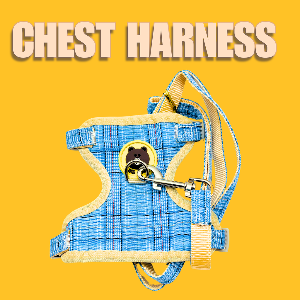 Petblush Classic Imported Chest Harness & Leash set for Cats and Puppies