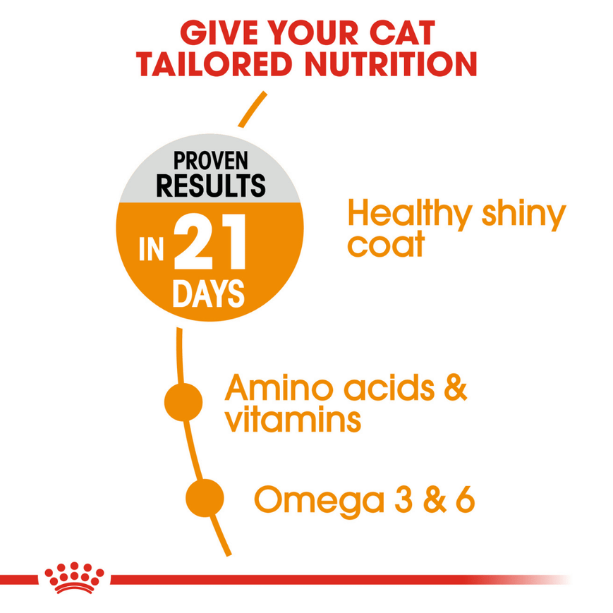 Royal Canin Skin & Hair Care for Adult Cats Dry Food