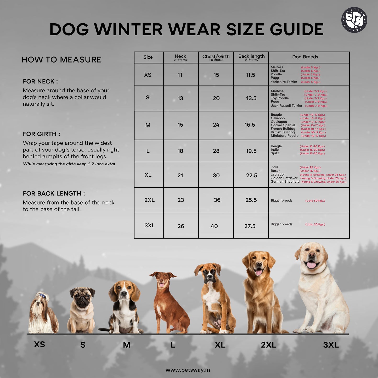 Checks - Brownie Dog Jacket