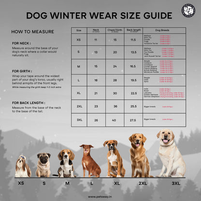 Checks - Brownie Dog Jacket