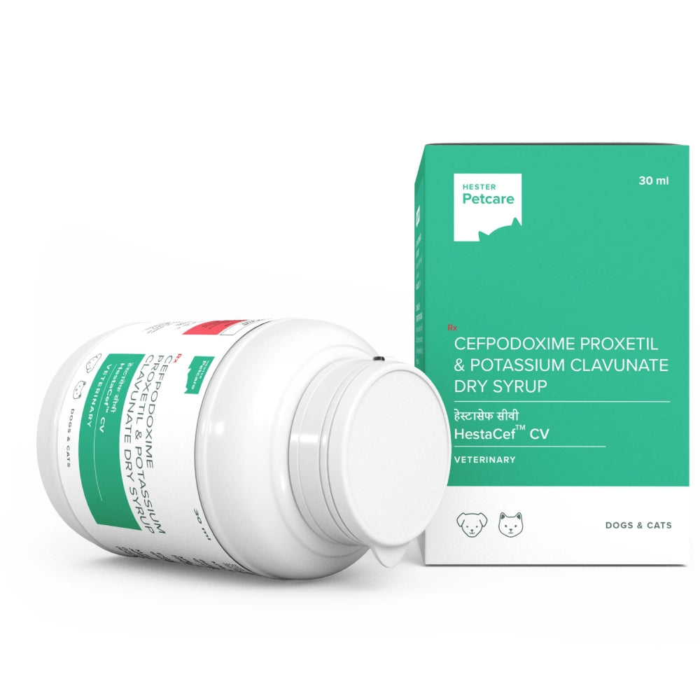 Hester Hestacef Cv 30ml for Dogs and Cats