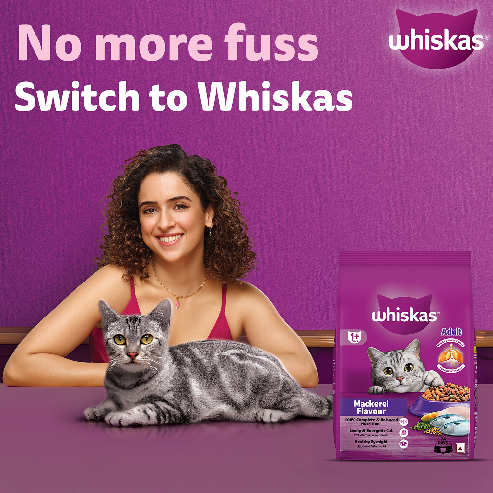 Whiskas Mackerel Flavour Dry Food for Mother and Baby Cat