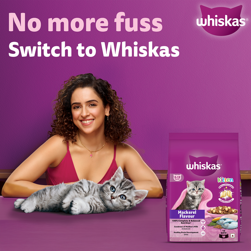 Whiskas Mackerel Flavour Kitten (2 to 12 months)Cat Dry Food