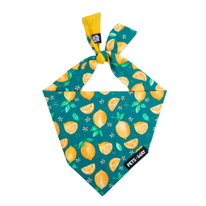 Autumn - Emerald Bandana