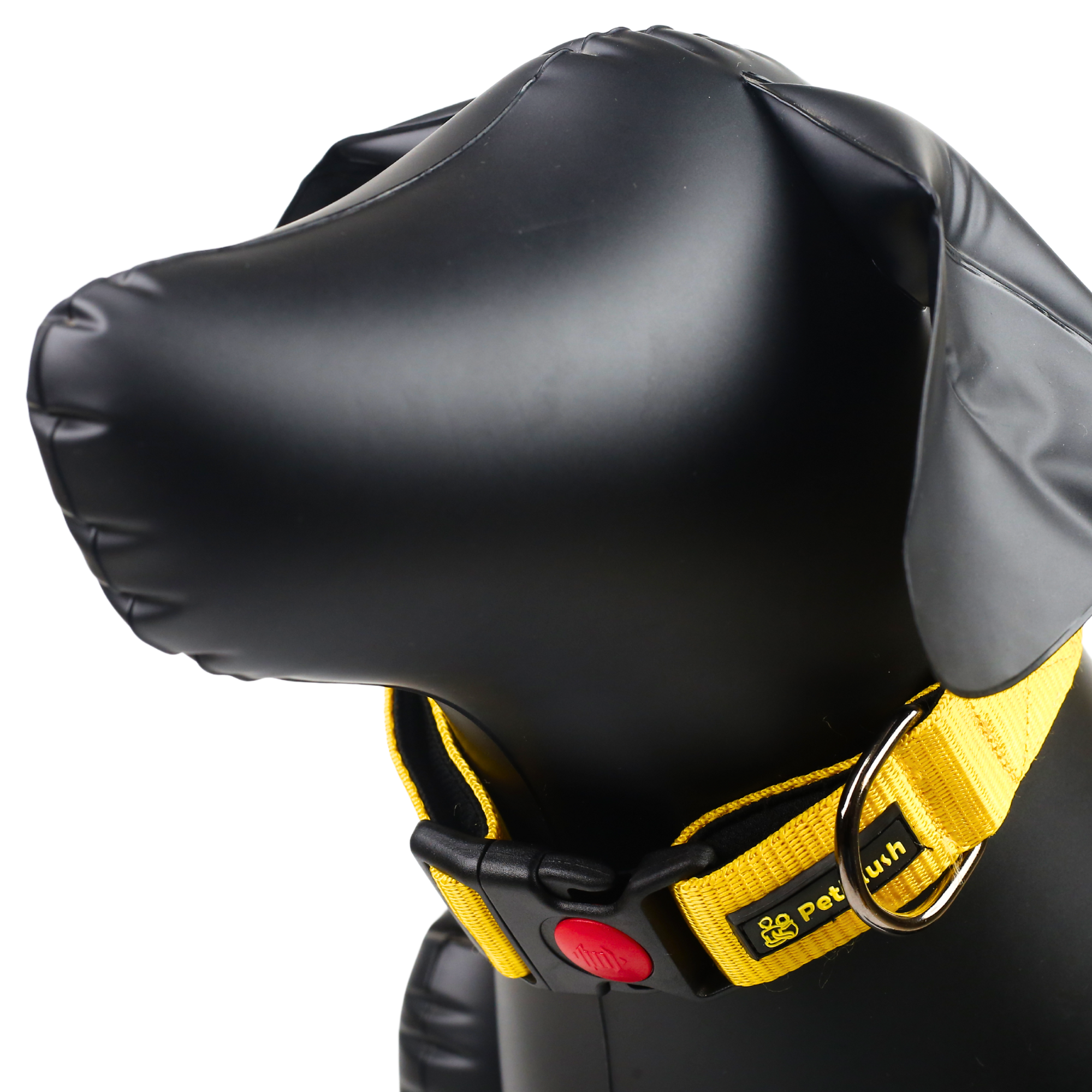 Petblush Bold Padded Collars with Lock Buckle