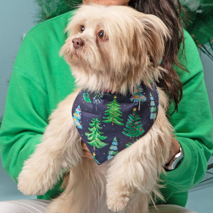 Mistletoe Bandana