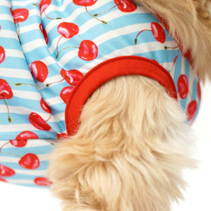 Fruity Dog Vest Combo