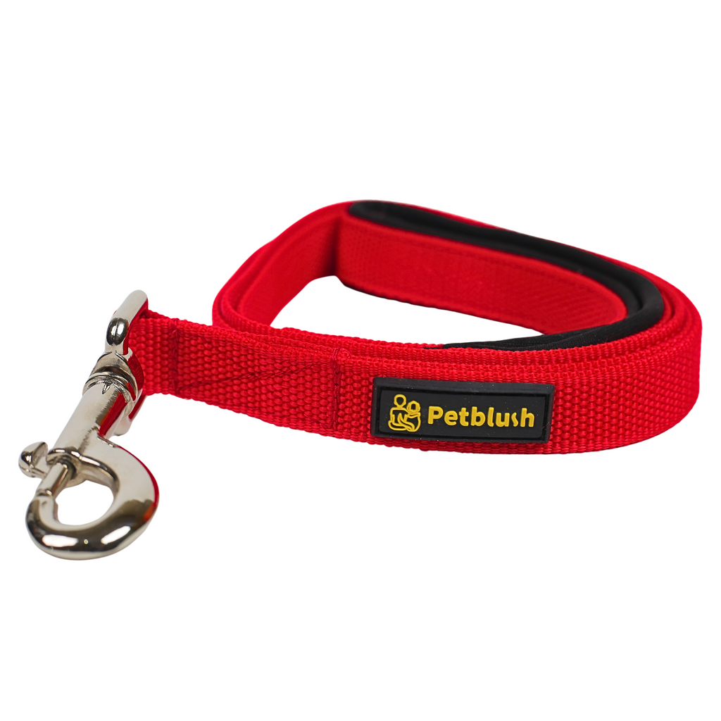 Petblush Everyday Dog Leash with Padded Handle