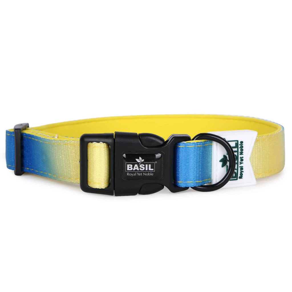 Padded Adjustable Collar for Dogs, Cats & Puppies (Blue & Yellow)